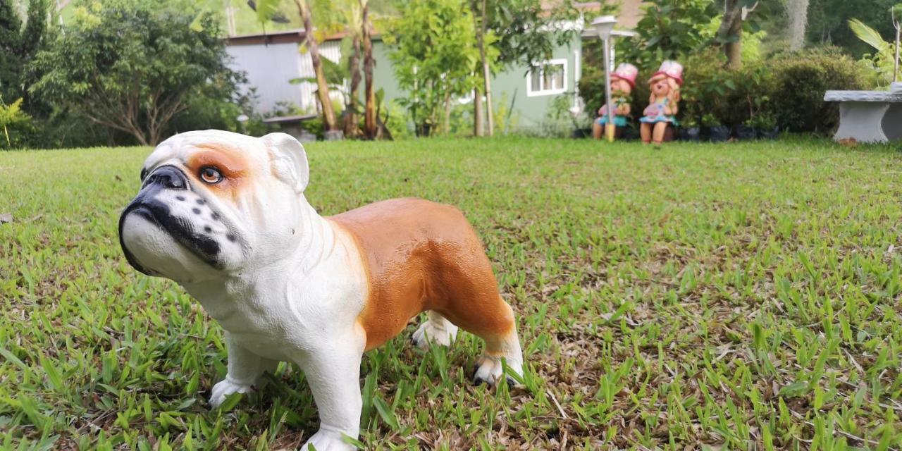 บ้านปลายฝัน Baanplaifun Ban Huai Phai Esterno foto