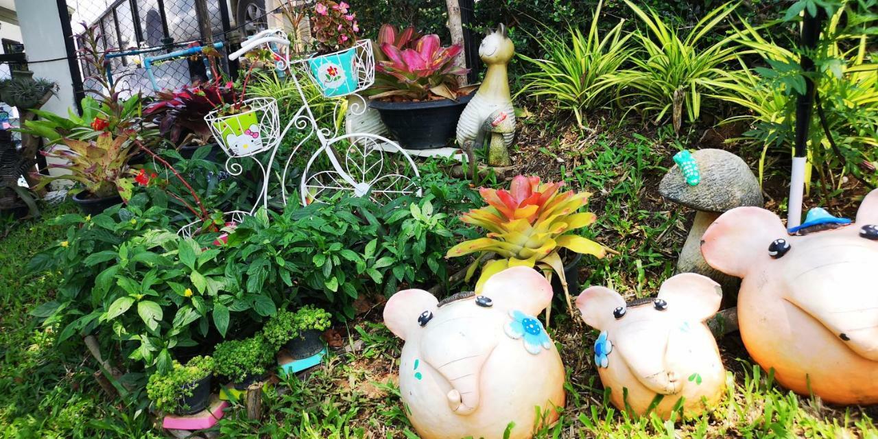 บ้านปลายฝัน Baanplaifun Ban Huai Phai Esterno foto